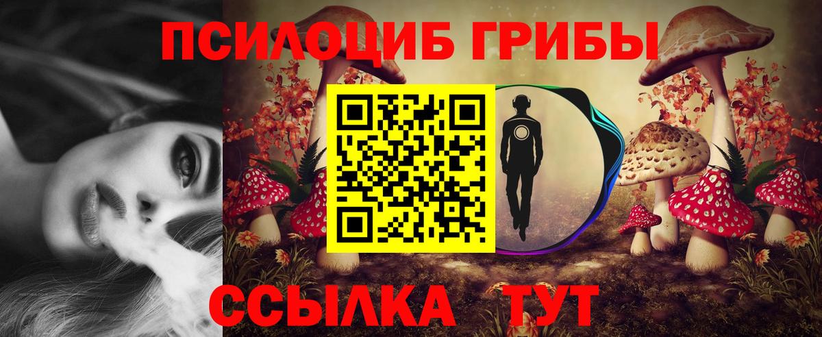 Славгород  Галлюциногенные грибы Psilocybe  Вход с VPN 